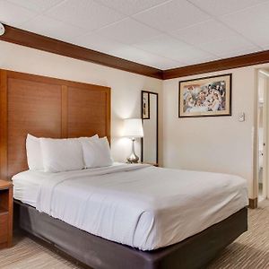 Queen Room Non-Smoking or Pet Friendly